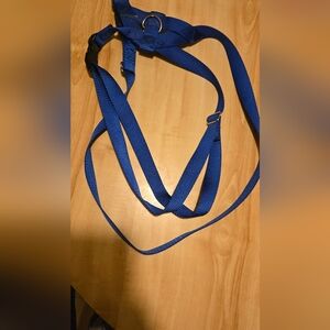 Blue Adjustable Strap